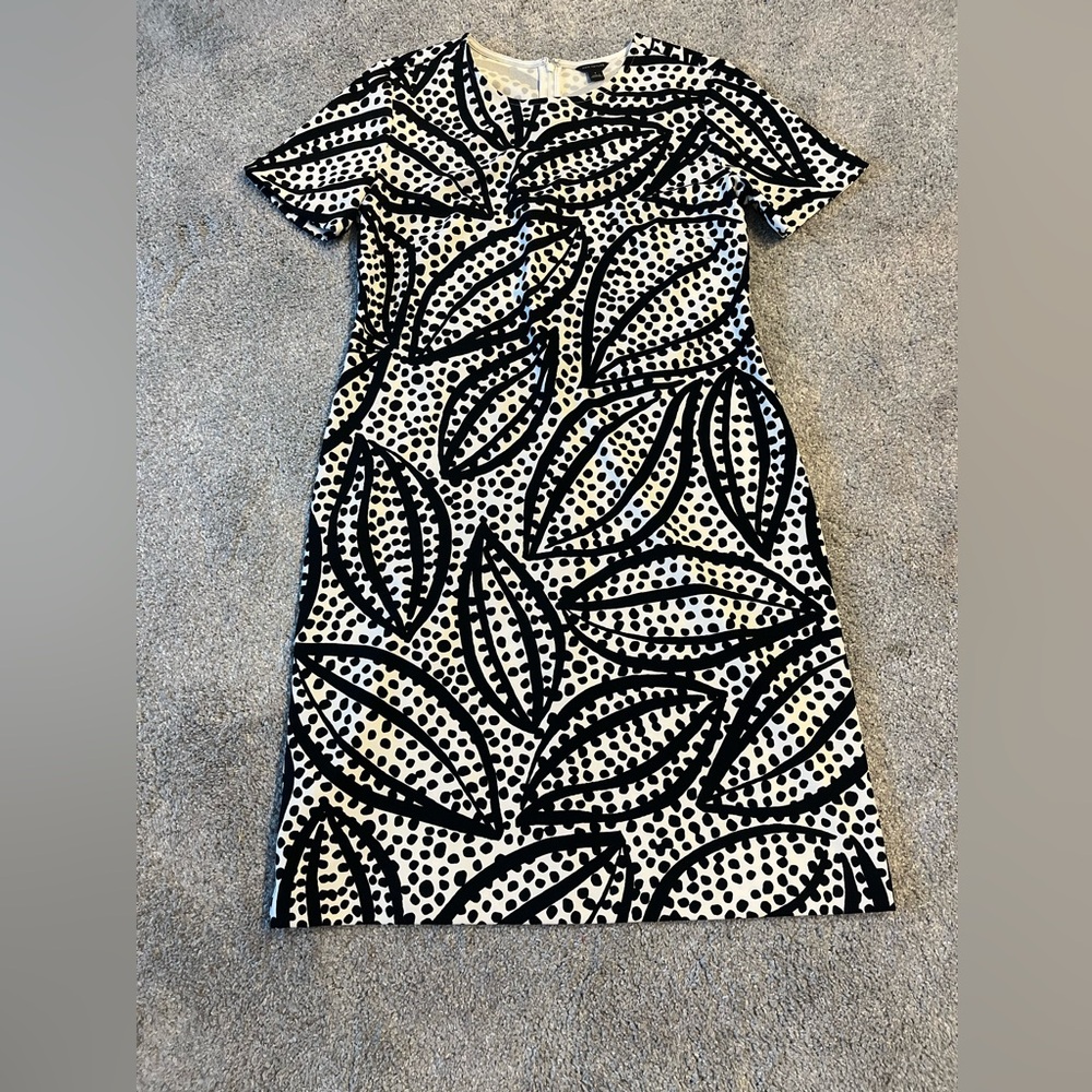 Ann Taylor Black and White Leaf Print Mini Dress